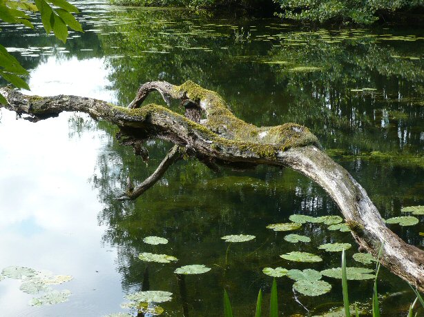 Am Wasser